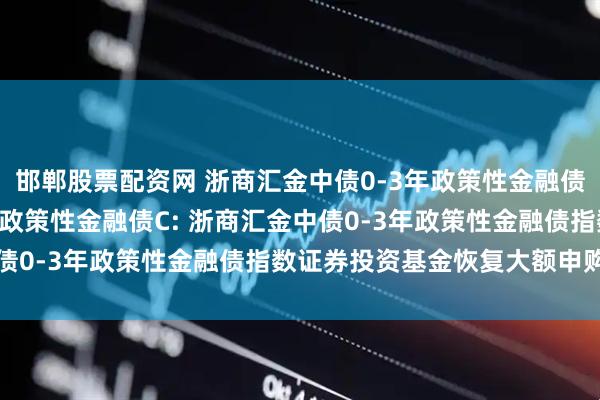 邯郸股票配资网 浙商汇金中债0-3年政策性金融债A,浙商汇金中债0-3年政策性金融债C: 浙商汇金中债0-3年政策性金融债指数证券投资基金恢复大额申购公告