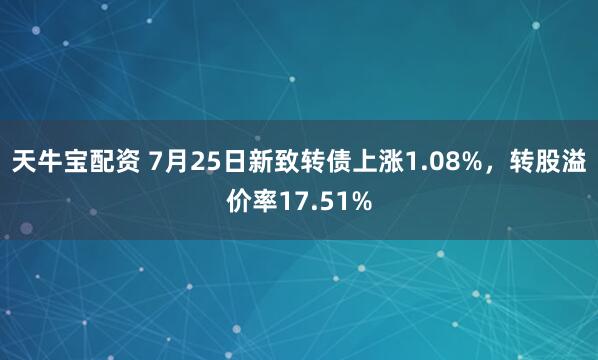 天牛宝配资 7月25日新致转债上涨1.08%，转股溢价率17.51%